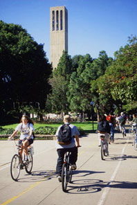 bike boulevard
